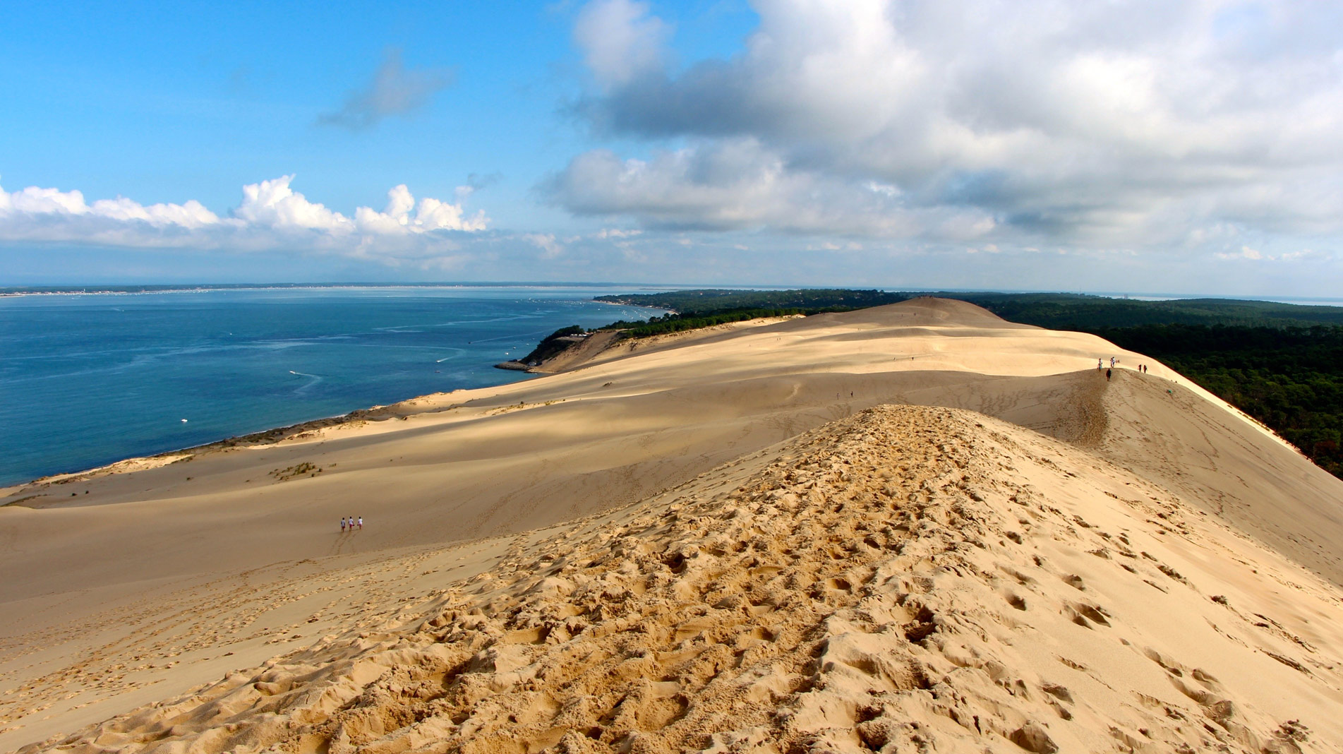 green village banner
